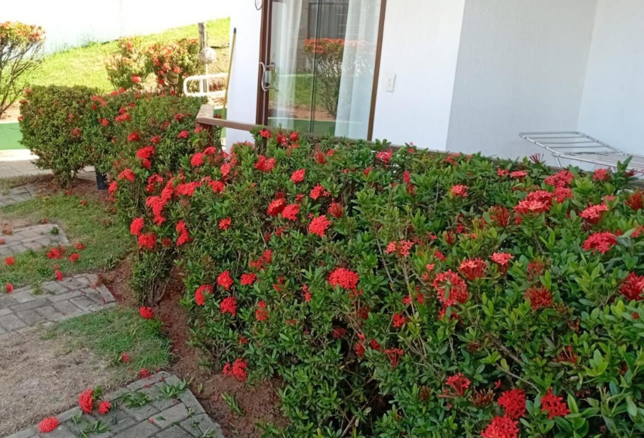 Flat Em Pipa - Brisas Do Amor Praia de Pipa 客房 照片